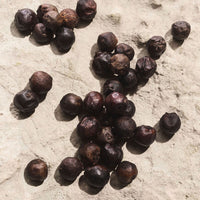 Dolce Gabbana Light Blue Capri In Love Homme - Eau de parfum