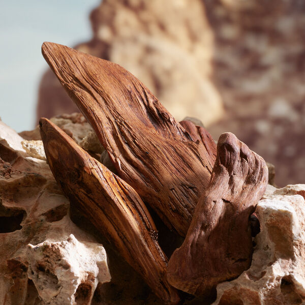 Dolce Gabbana K - Perfume