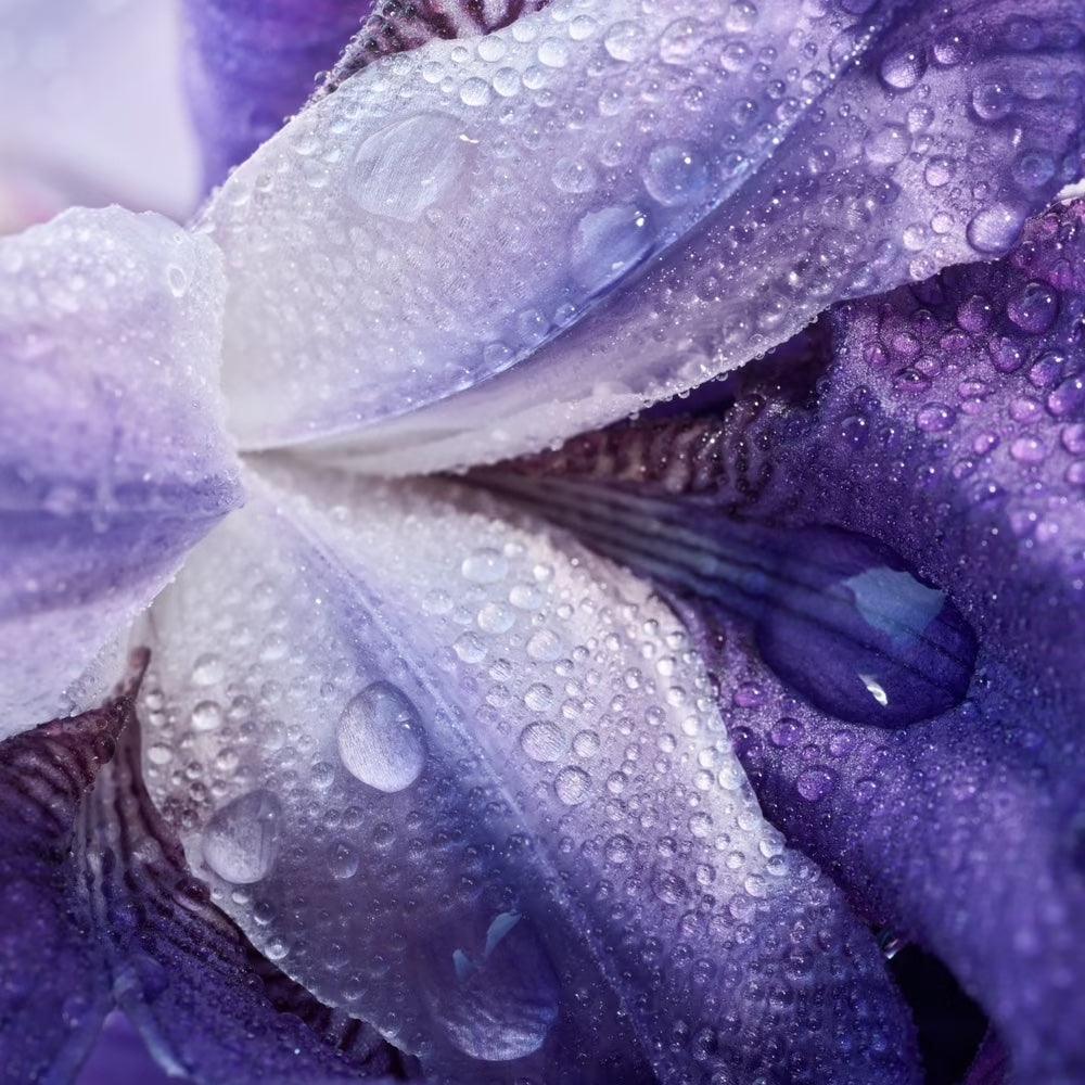 Armani my way parfum notes olfactives 