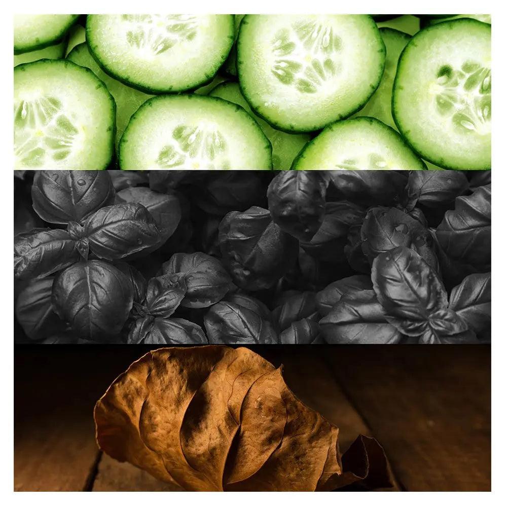 calvin klein one shock eau de toilette notes olfactives