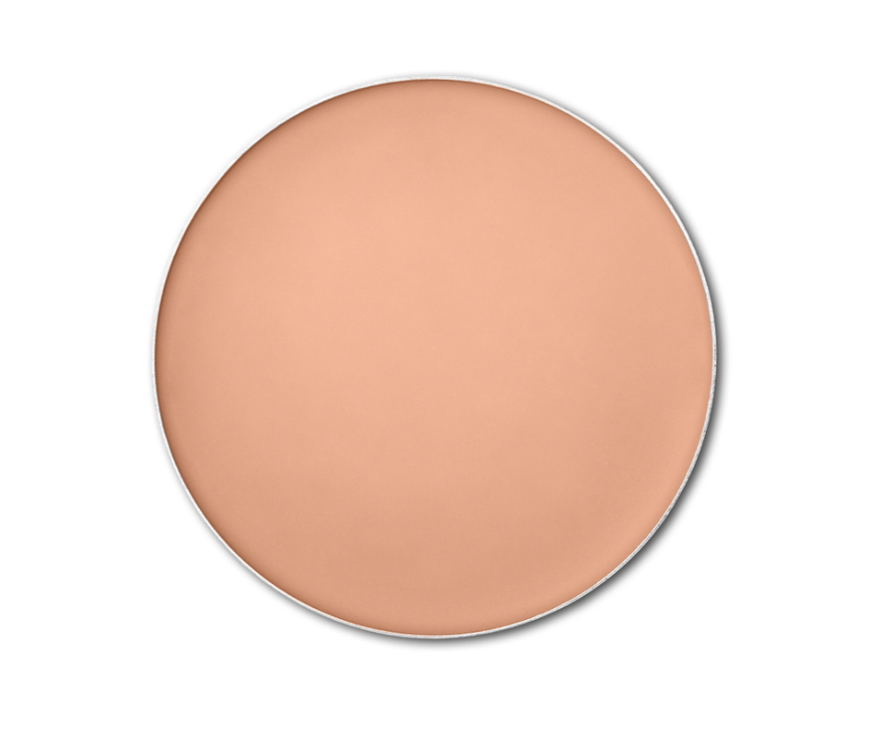 Shiseido Expert Sun Protector - Bronzing Compact Foundation SPF10