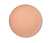 Shiseido Expert Sun Protector - Bronzing Compact Foundation SPF10