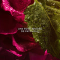 Guerlain La Petite Robe Noire - Eau de Parfum Absolue