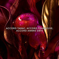 Guerlain Tabac Sahara - accord tabac, accord framboise, accord ambre gris