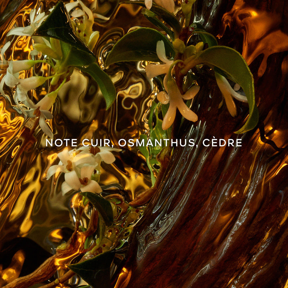 Guerlain Cuir Intense - note cuir, osmanthus, cèdre