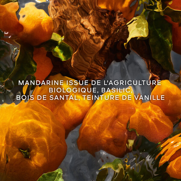 Guerlain Aqua Allegoria Forte Mandarine Basilic - Coffret