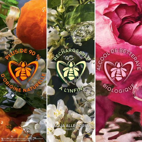 Guerlain Aqua Allegoria Forte Mandarine Basilic - Coffret