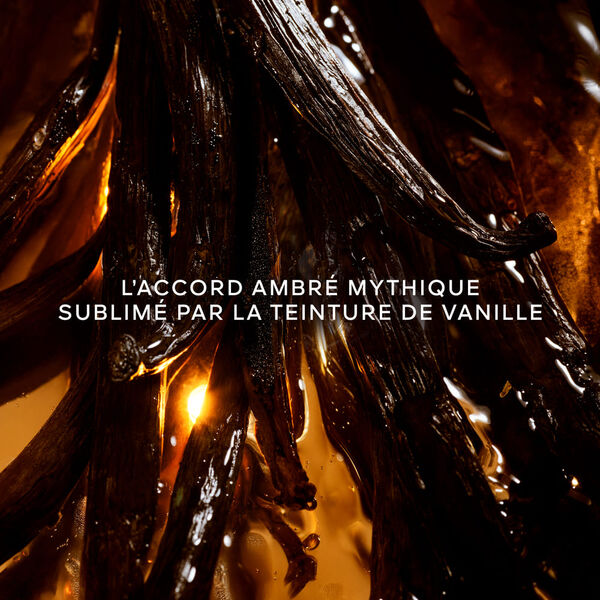 Guerlain Shalimar - Eau de parfum intense