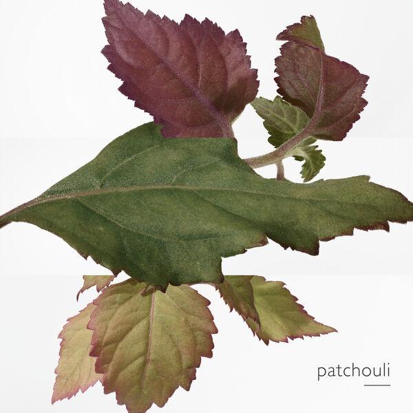 Hermès Elixir des merveilles - Agua de perfume