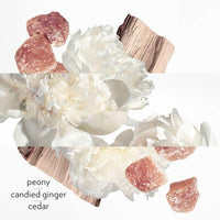 Hermès Twily d'hermès Eau Ginger - Eau de parfum