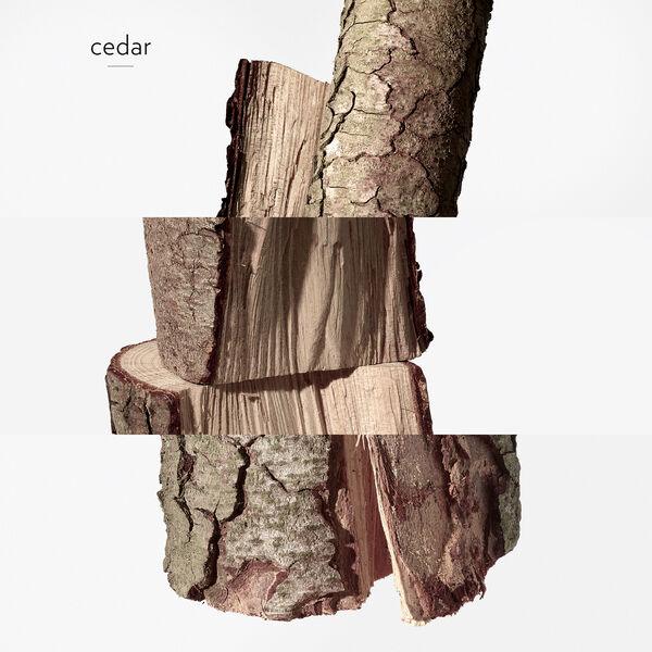 Hermès Twily d'hermès Eau Ginger - Eau de parfum