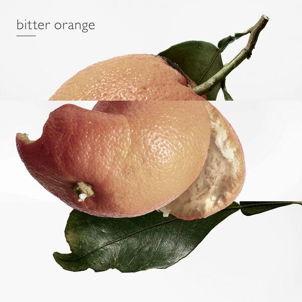 Hermès Eau des merveilles - Eau de Toilette