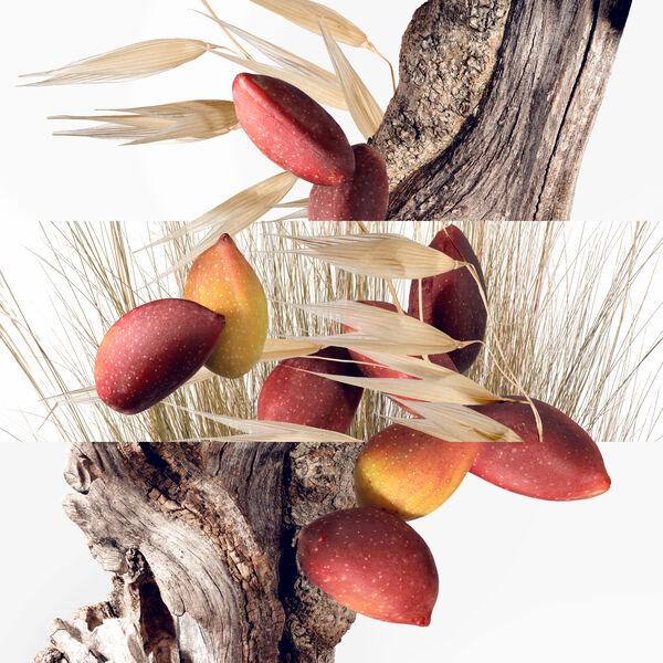 Hermès Un Jardin À Cythère - Eau de Toilette