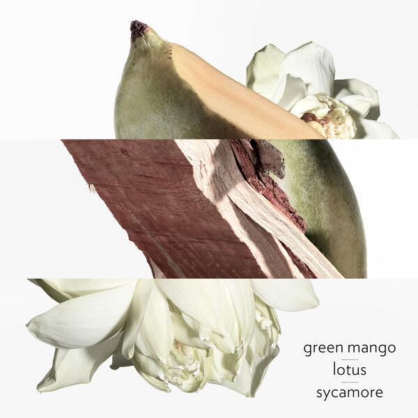 Hermès Un Jardin Sur Le Nil - Eau de Toilette