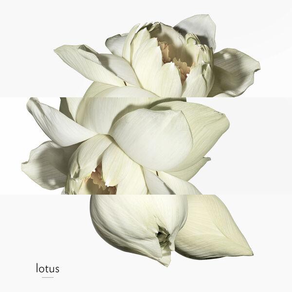 Hermès Un Jardin Sur Le Nil - Eau de Toilette