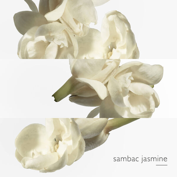 Hermès Le Jardin de Monsieur Li - Eau de Toilette