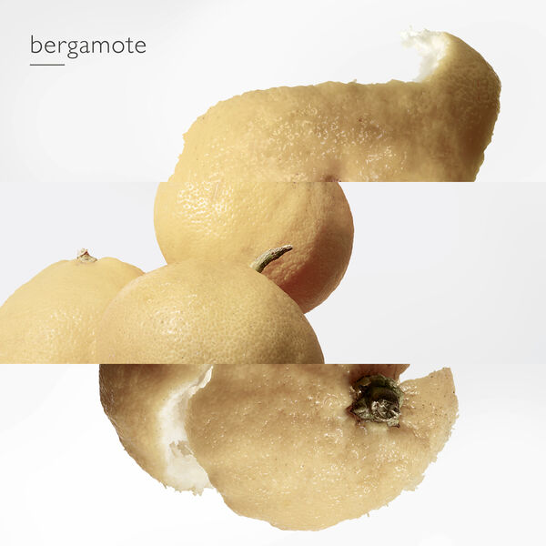 Hermès Le Jardin de Monsieur Li - Eau de Toilette