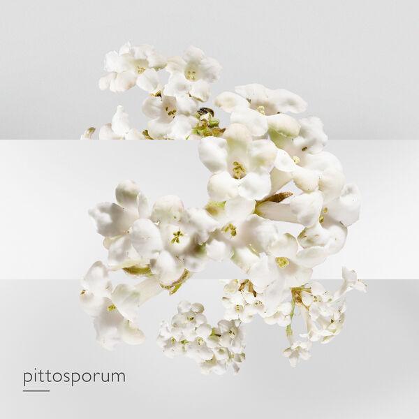 Hermès Un Jardin Sur La Lagune - Eau de Toilette