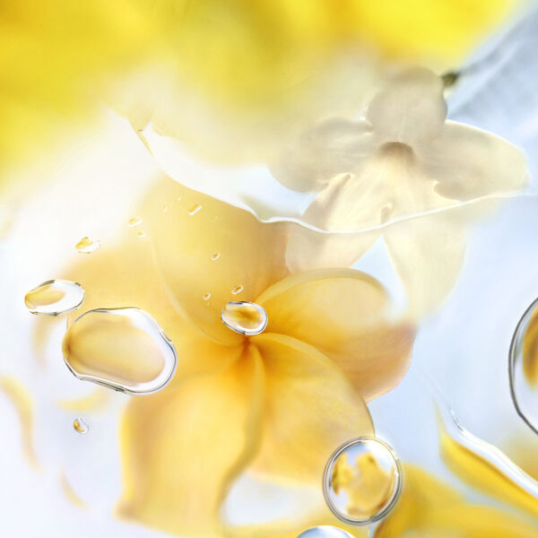 Lancôme Ô Zenith - Eau de toilette