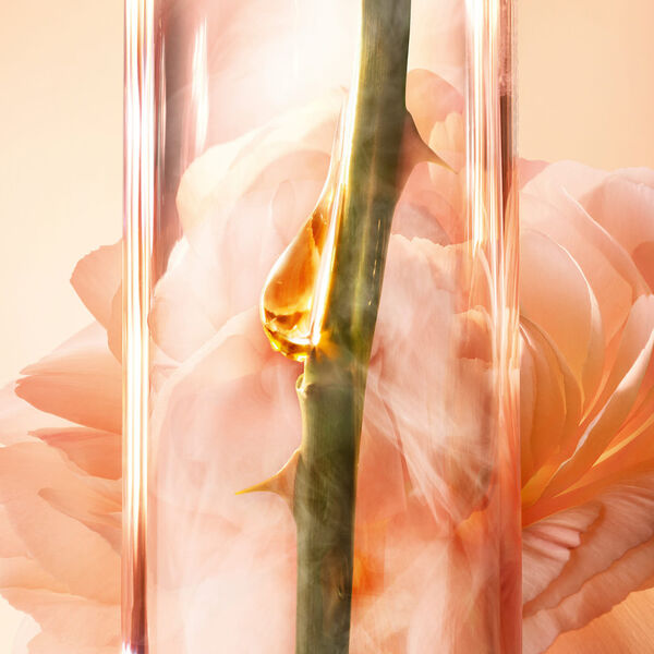 Lancôme Absolue - Intensive Concentrated Serum