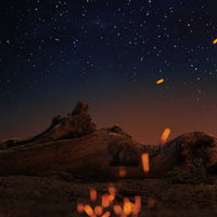 Maison Margiela Under The Stars - Eau de toilette