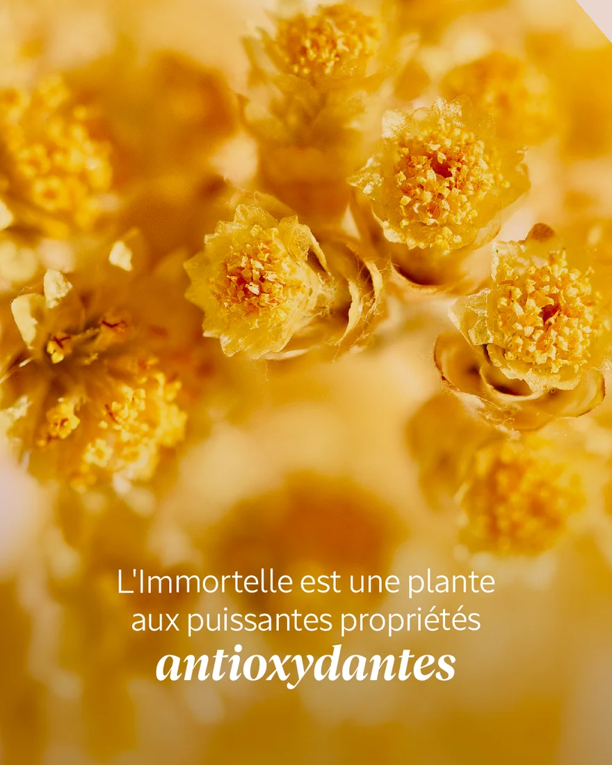 L'Occitane Mouse En Crème Nettoyante - Immortelle Divine