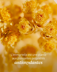 L'Occitane Mouse En Crème Nettoyante - Immortelle Divine
