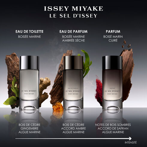 Issey Miyake Le Sel D'Issey - Parfum