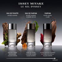 Issey Miyake Le Sel D'Issey - Parfum