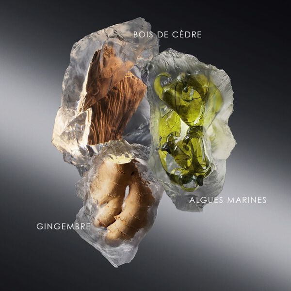 Issey Miyake Le Sel D'Issey - Eau De Toilette-Parfumerie Olara-1