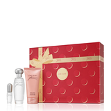 1 unité Coffret