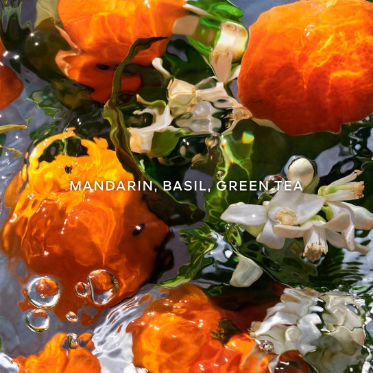 Guerlain Aqua Allegoria Mandarine Basilic - Coffret Eau de toilette