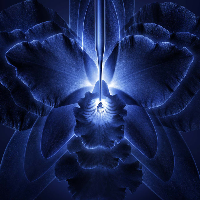 Guerlain Orchidée Impériale - La Crème