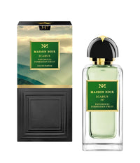 Schwarzes Haus - Icarus 347