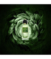 Schwarzes Haus - Icarus 347