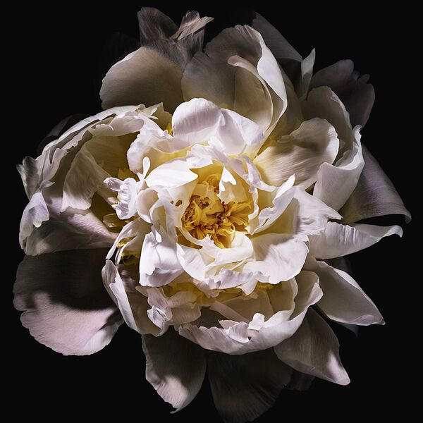 Yves Saint Laurent Mon Paris Eau de toilette Lumière