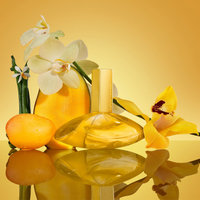 Calvin Klein Euphoria Solar Elixir Eau de Parfum