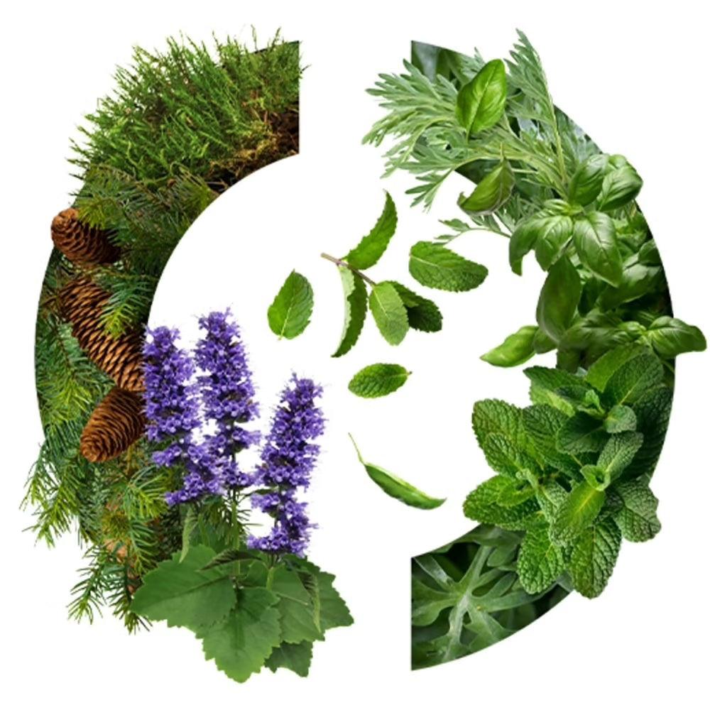 Caron Yatagan - Eau de Toilette