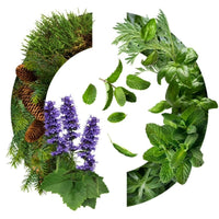 Caron Yatagan - Eau de Toilette