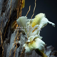 Guerlain Vetiver Parfum