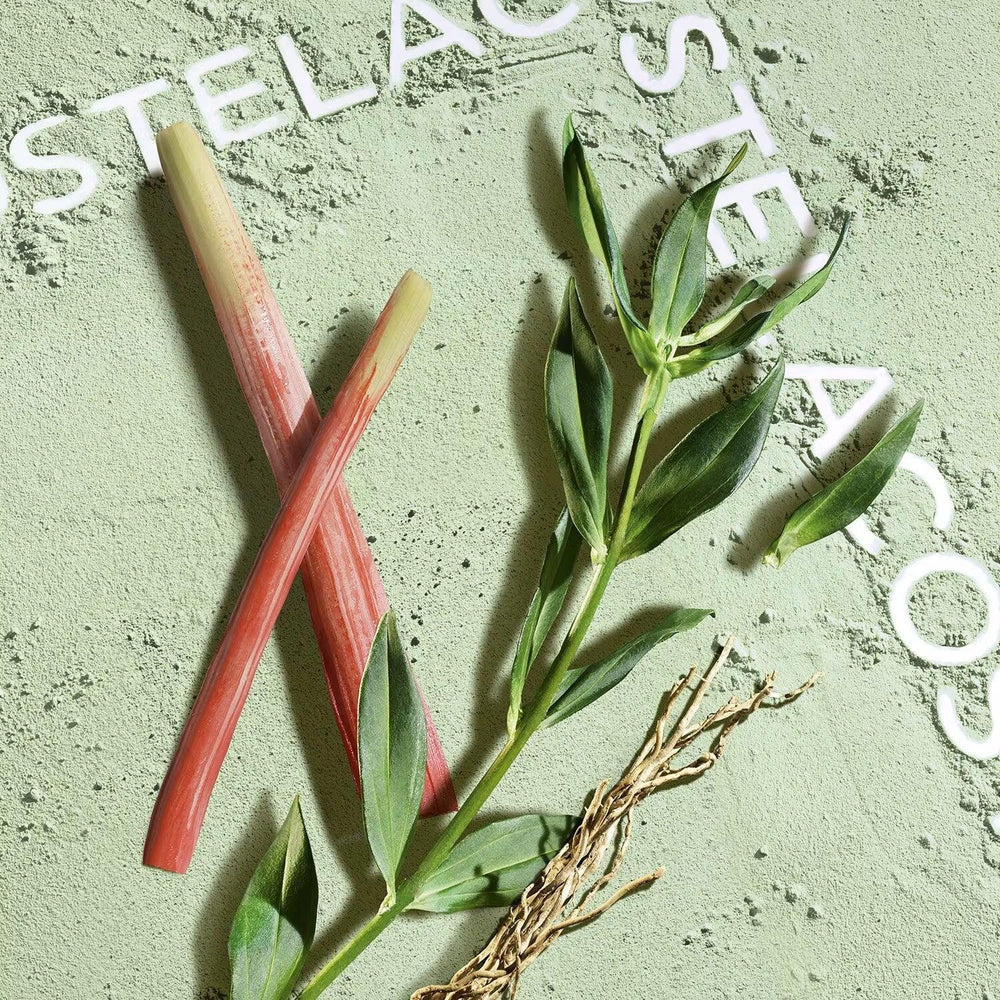 Lacoste Match Point Cologne - Eau de toilette