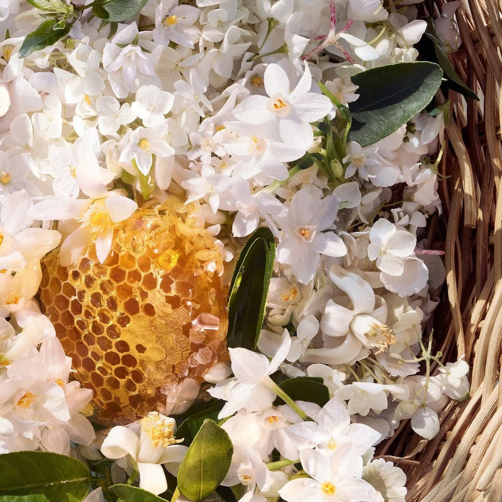 Guerlain Aqua Allegoria Harvest Nerolia Vetiver