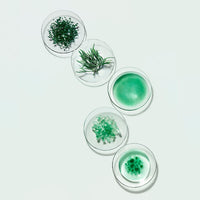 Helena Rubinstein - Powercell Skinmunity Night Reload