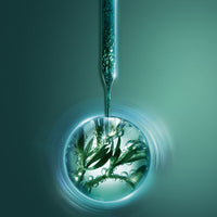 Helena Rubinstein - Powercell Skinmunity Crème Jeunesse