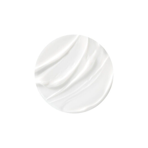 Helena Rubinstein - Replasty Age Recovery Day Cream