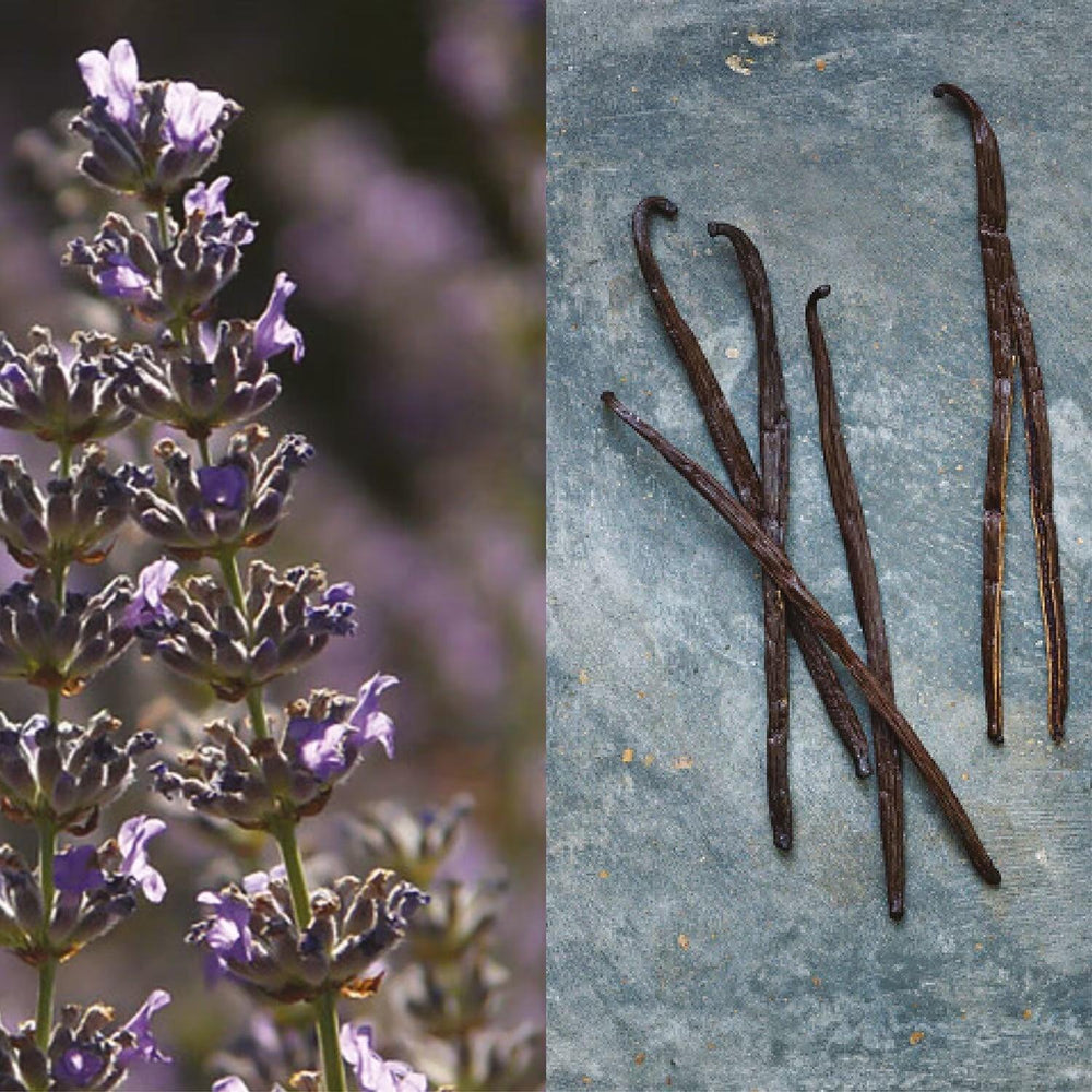 Pour un Homme de Caron - Eau de Toilette Box