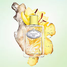 Prada Les Infusions de Prada - Gingembre-Parfumerie Olara-1