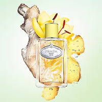 Prada Les Infusions de Prada - Gingembre-Parfumerie Olara-2