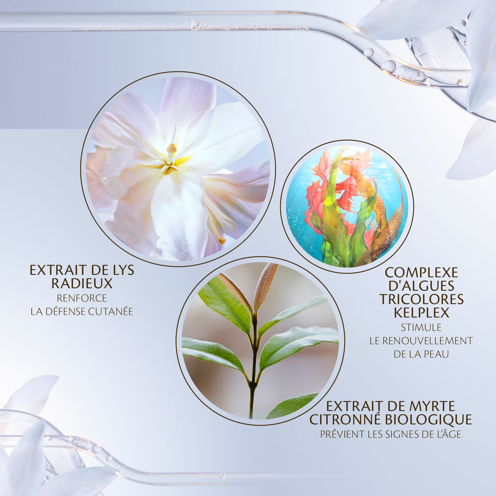 Le Sérum