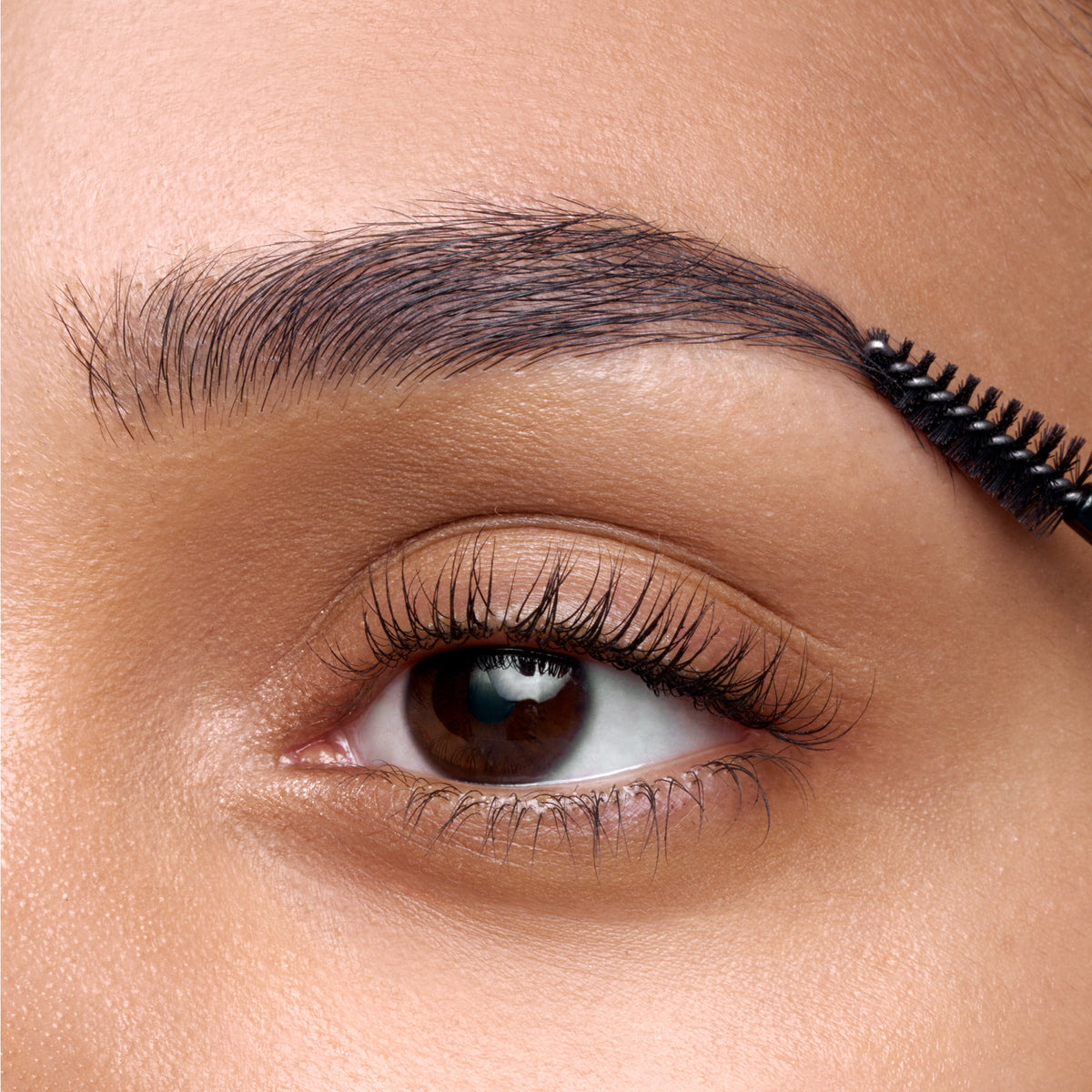 Gel Sourcils